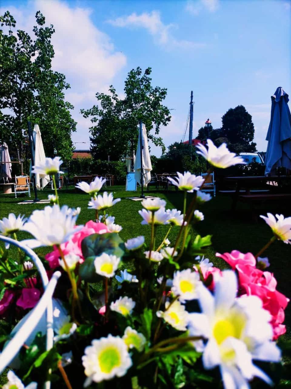La Tenuta Di Santo Stefano Agri Resort & Spa 弗萨诺 外观 照片